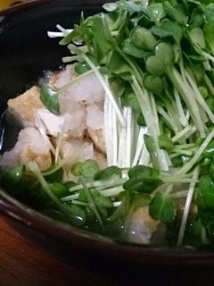 おつまみに♬厚揚げのおろし和え-レシピのメイン写真