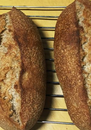 ブランクッペ-レシピのメイン写真
