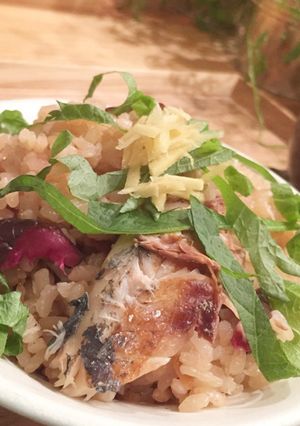 炊飯器で簡単！あじの炊き込みごはん☆☆-レシピのメイン写真