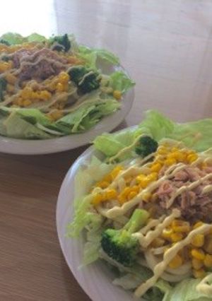 10分で作れる☆簡単サラダうどん-レシピのメイン写真