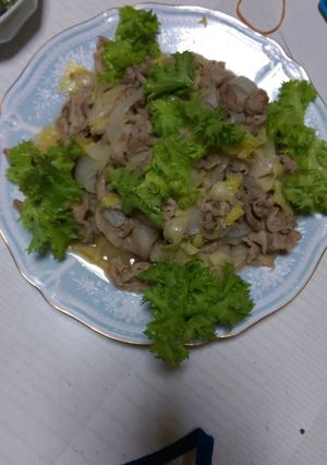 豚肉の野菜炒め-レシピのメイン写真