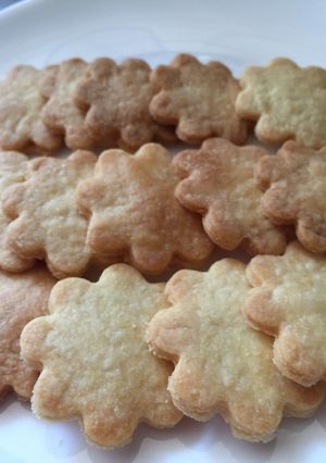 サラダ油で美味♡サクホロクッキー-レシピのメイン写真