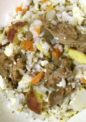 犬用　牛スジと豆腐の海苔入りおじや-レシピのメイン写真