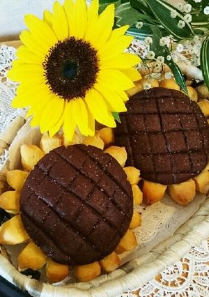 野菜ジュース♪ひまわりココアメロンパン☆-レシピのメイン写真