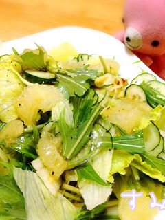 爽やかグレープフルーツドレッシングサラダ-レシピのメイン写真