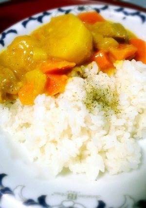 素材の良さを活かしたシンプルカレー☆-レシピのメイン写真
