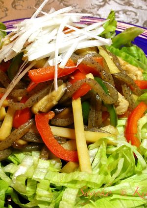 レタスの五目あんかけ〜青椒肉絲風-レシピのメイン写真
