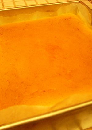 チーズケーキ(豆乳入り)-レシピのメイン写真