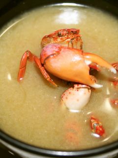 キャンプで磯カニのお味噌汁-レシピのメイン写真