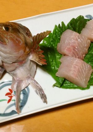 アブラメの刺身-レシピのメイン写真