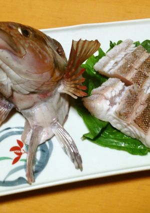 アブラメの湯引き-レシピのメイン写真