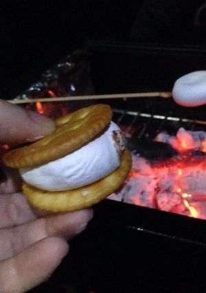 BBQの〆に！焼きマシュマロサンド-レシピのメイン写真