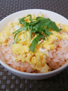 簡単彩り鮭ご飯-レシピのメイン写真