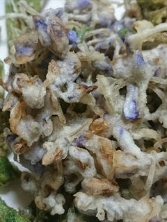 藤の花の天ぷら(簡単・旨い・話題性)-レシピのメイン写真