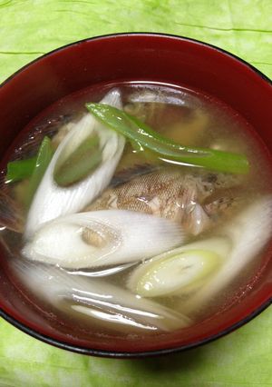 簡単旨汁♪カサゴのアラ汁(お味噌汁)-レシピのメイン写真