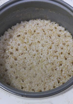 玄米をふつうの炊飯器で炊く：覚書-レシピのメイン写真