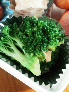 お弁当に★ブロッコリーのおかかあえ-レシピのメイン写真