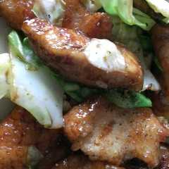 鳥むね肉のキャベツ炒め-レシピのメイン写真