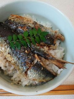 イワシ蒲焼き丼-レシピのメイン写真