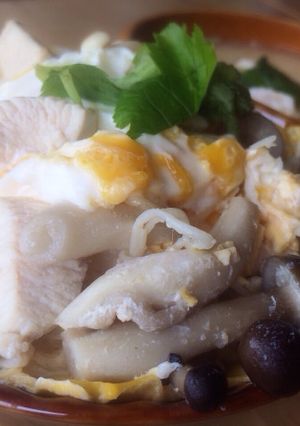 きのこが入った親子丼-レシピのメイン写真