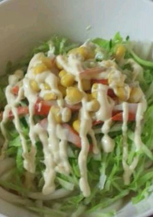 サラダうどん-レシピのメイン写真
