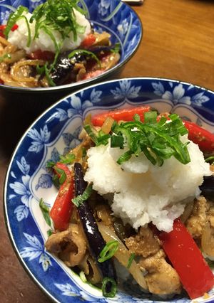 ナスのゴマ味噌炒めどんぶり-レシピのメイン写真