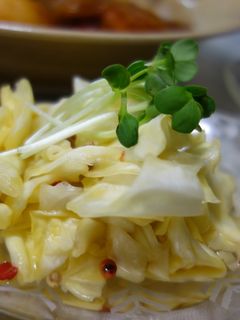 カレーにおすすめ 新キャベツのピクルス-レシピのメイン写真