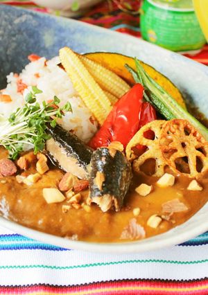 梅肉とたっぷり野菜のボンカレー-レシピのメイン写真