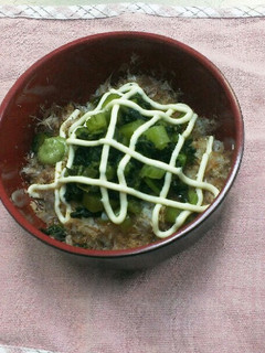 野沢菜と削り節のマヨネーズ丼-レシピのメイン写真