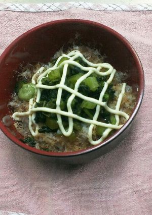 野沢菜と削り節のマヨネーズ丼-レシピのメイン写真