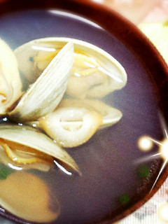 即席!ボンビノス貝のお吸い物~♪-レシピのメイン写真