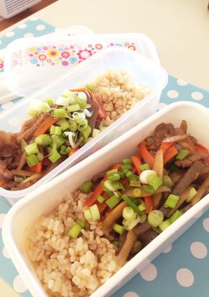 すぐできる！きんぴら焼肉弁当-レシピのメイン写真