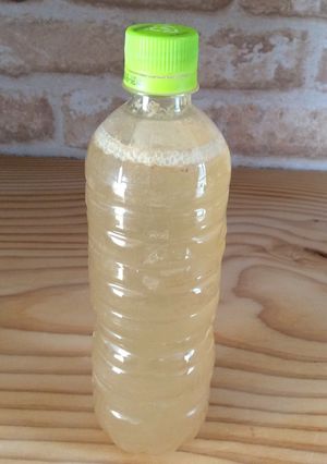 米のとぎ汁乳酸菌-レシピのメイン写真