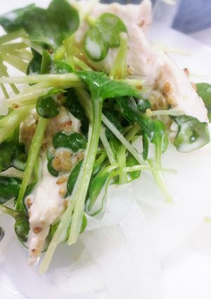 新たまねぎと かいわれむね肉のっけサラダ-レシピのメイン写真