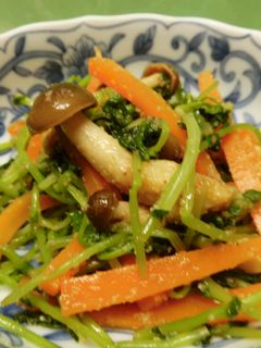 豆苗のごま和え♪(甘さ控え目)-レシピのメイン写真