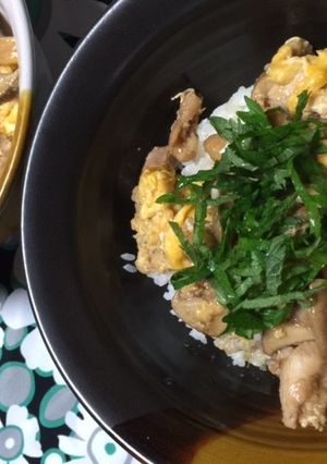 鶏肉とエリンギの✿バルサミコ酢丼✿-レシピのメイン写真