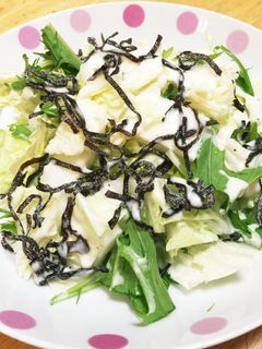 白菜の簡単サラダ-レシピのメイン写真