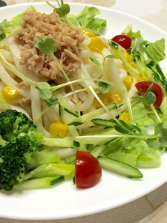 野菜色々☆サラダうどん-レシピのメイン写真