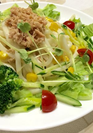 野菜色々☆サラダうどん-レシピのメイン写真