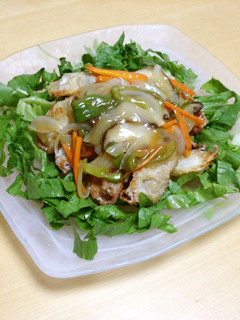 揚げ餃子の野菜あんかけ-レシピのメイン写真
