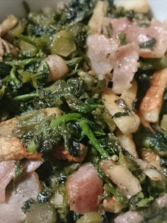ウドとマタタビ等の油炒めゴマ味噌煮^^-レシピのメイン写真