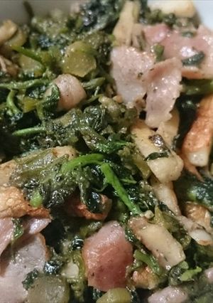 ウドとマタタビ等の油炒めゴマ味噌煮＾＾-レシピのメイン写真
