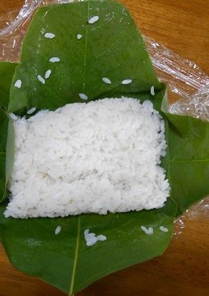 新緑を食う-レシピのメイン写真