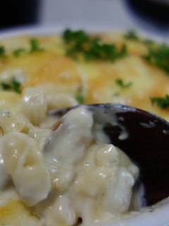 鶏とポルチーニのマカロニグラタン-レシピのメイン写真