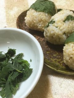 ギシギシの葉の塩漬け&おにぎり-レシピのメイン写真