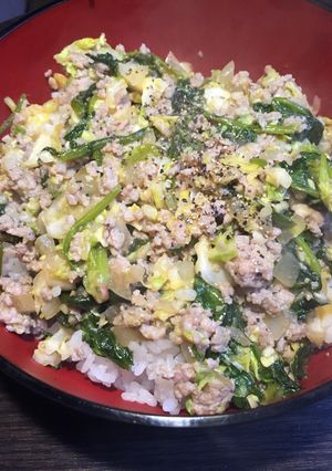 暑い日に！春キャベツを使った餃子の餡丼-レシピのメイン写真