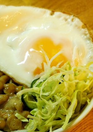 ダイエット☆納豆キャベツ丼-レシピのメイン写真
