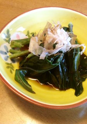 金時草(ハンダマ)のお浸し-レシピのメイン写真