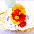 いちごの 簡単 ポップオーバー
