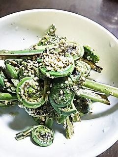 春爛漫♪こごみのごま味噌和え-レシピのメイン写真